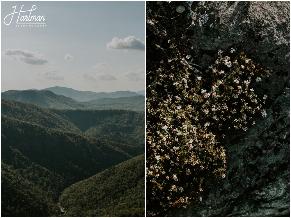 Hawksbill Mountain Engagement _0048