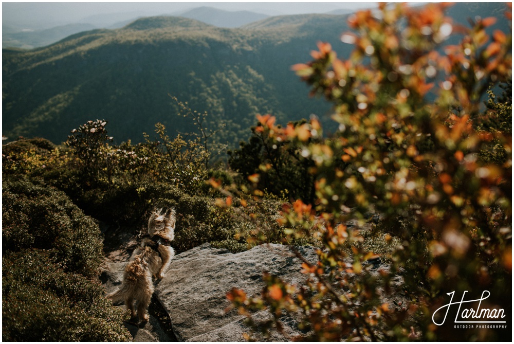 Hawksbill Mountain Hike _0051