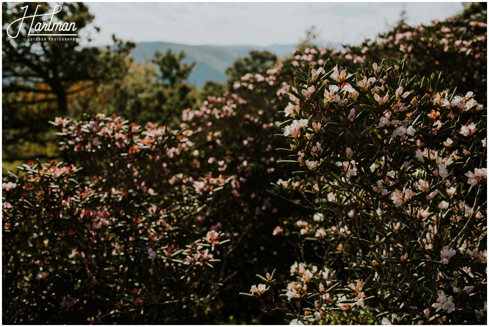 Asheville Adventure Elopement Ceremony Location _0054