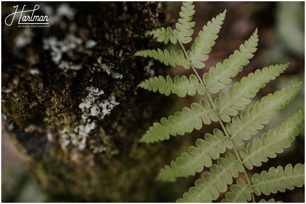 Boone Adventure Wedding Photographer _0057