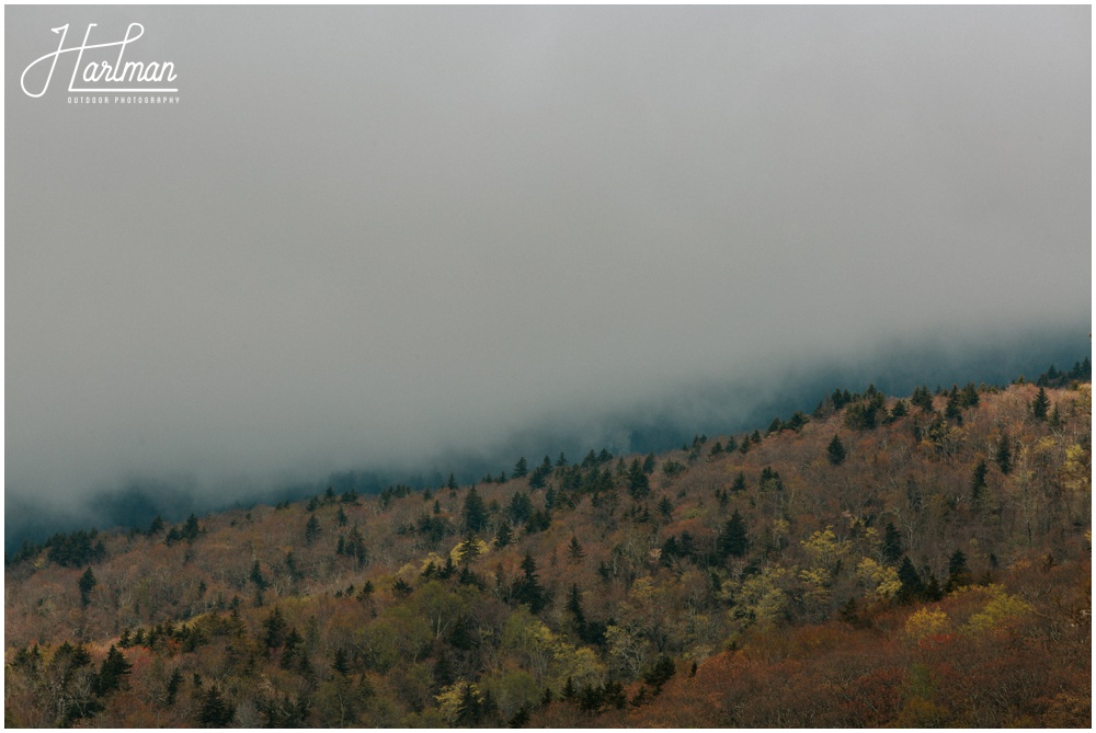 Blue Ridge Parkway Engagement Session _0065