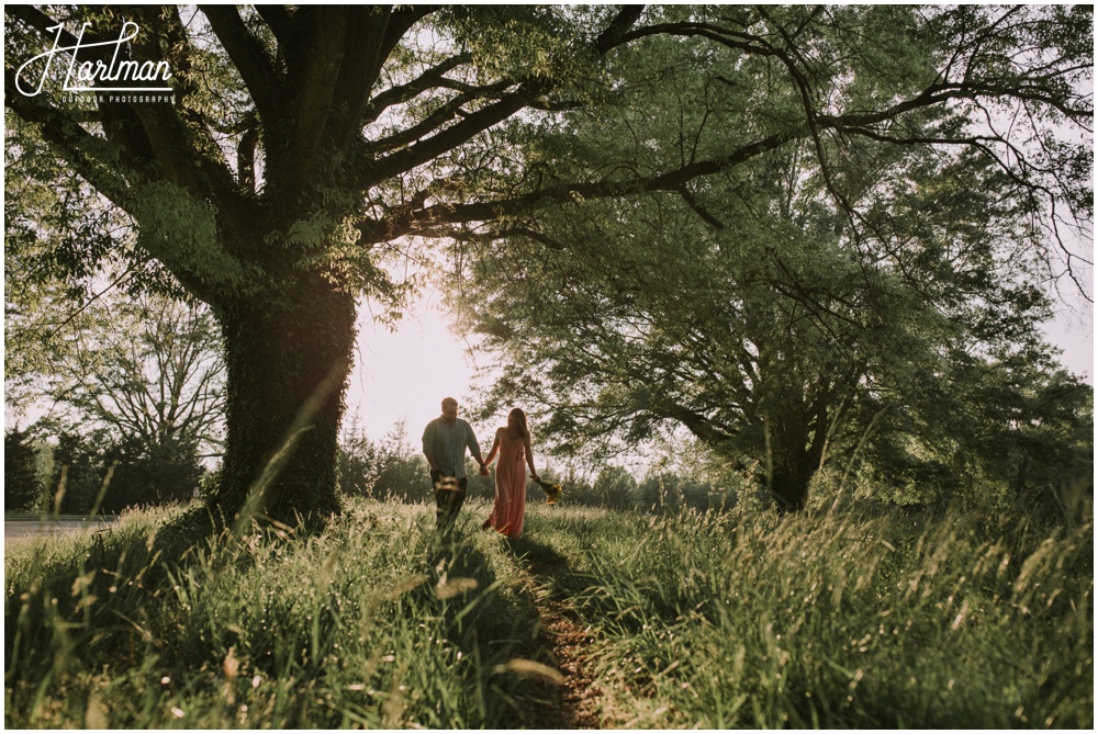 Blue Ridge Parkway Elopement _0074