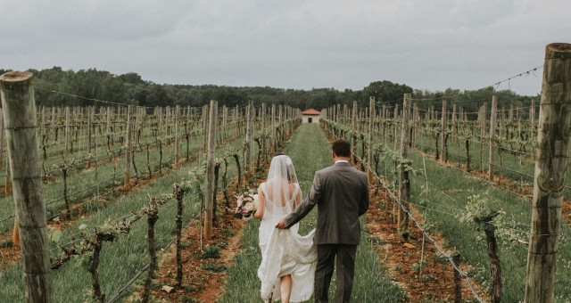 Josh + Jocelyn | North Carolina Vineyard Wedding