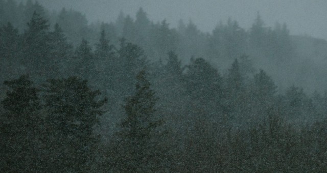 May Snow on the Blue Ridge Parkway | Boone, North Carolina