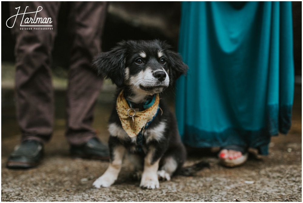 Brevard North Carolina Wedding Photographer _0027