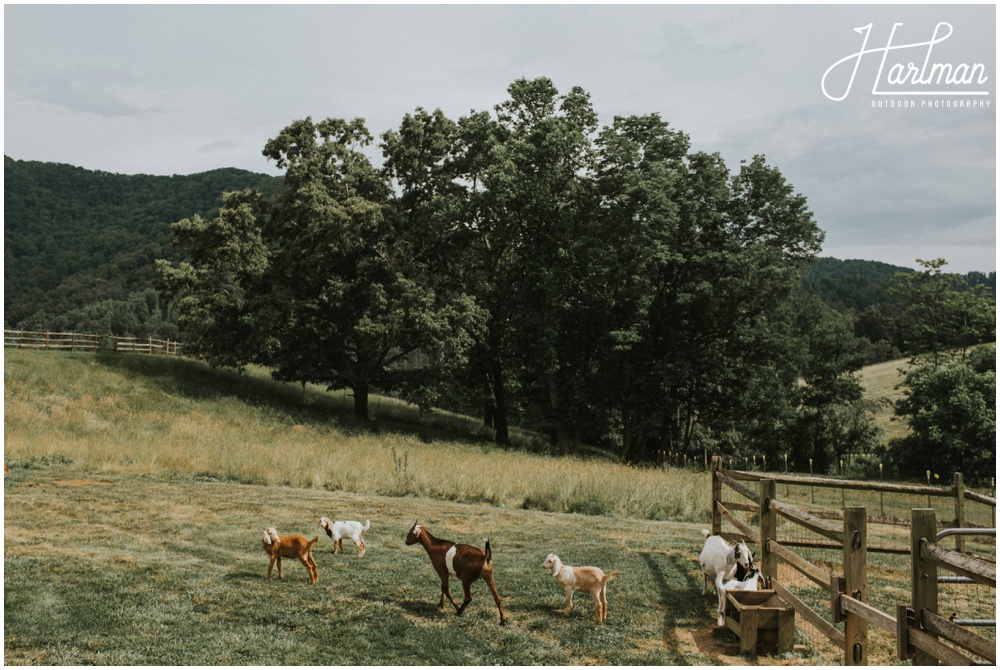 Asheville North Carolina Barn Wedding _0014