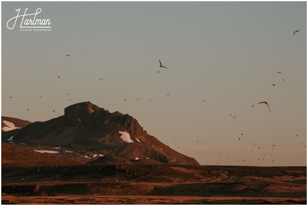 Iceland Wedding Ceremony Site Snaefellsness _0034