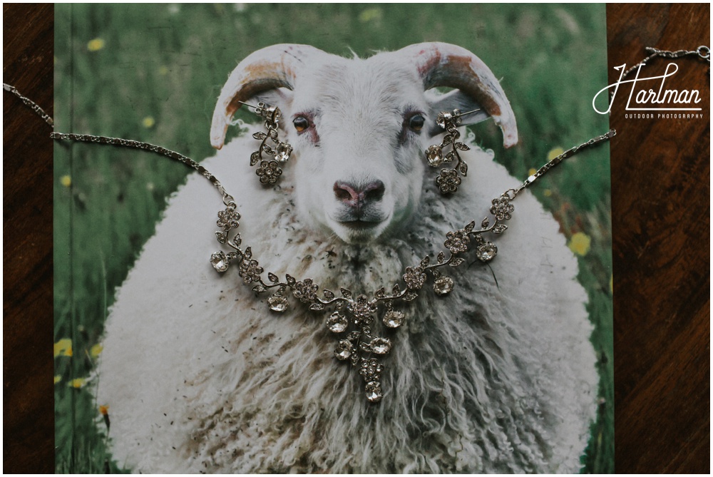 Iceland Wedding Photographer _0005