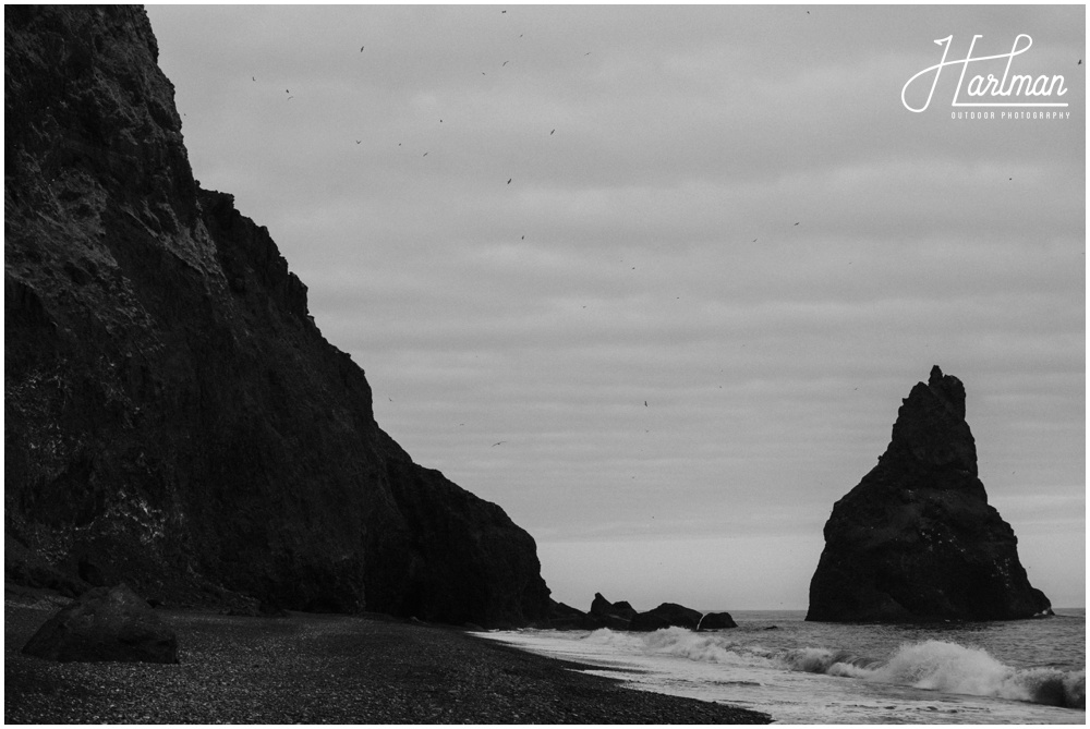 Iceland Wedding Black Sand Beach_0010