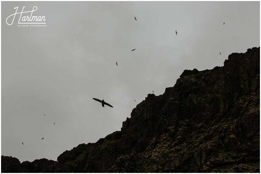 Wedding Black Sand Beach Iceland _0012