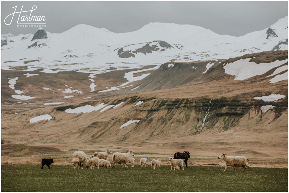 Iceland adventure wedding _0008