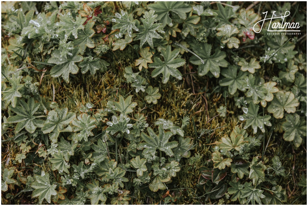 Iceland outdoor Wedding _0026