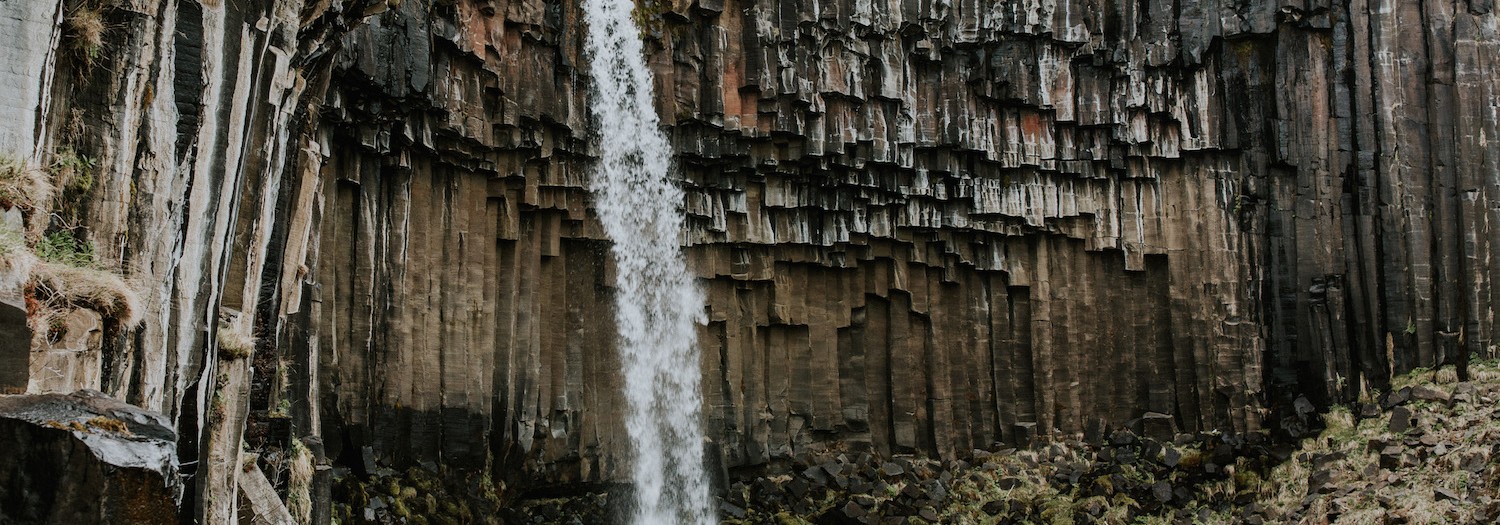 Iceland | Svartifoss + Black Sand Beach