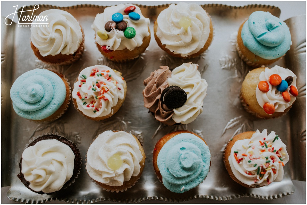 Outer Banks Wedding Cupcakes _0062