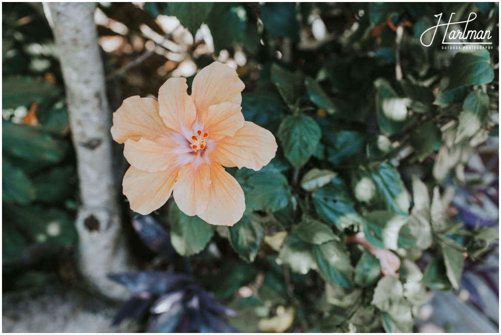 Corolla NC Wedding Photographer_0147