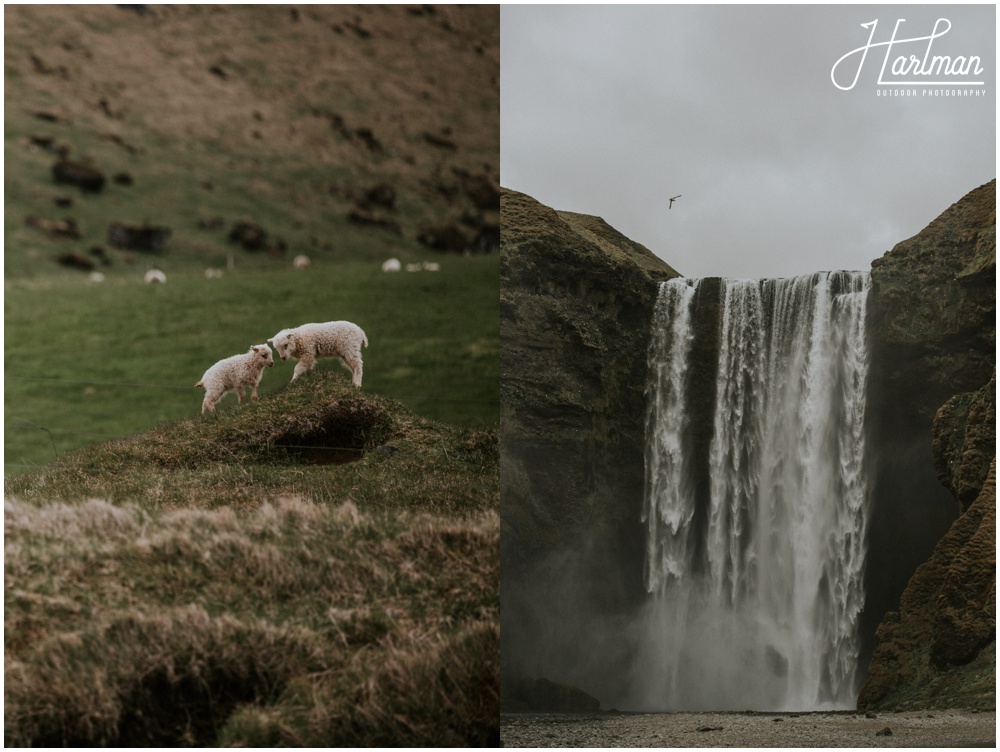 Skogafoss Waterfall Wedding Iceland _0002