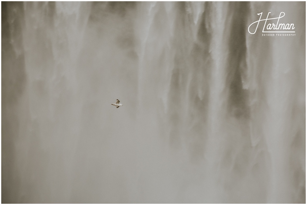 Skogafoss Waterfall _0005