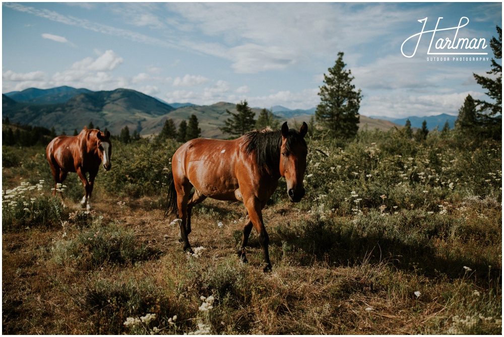 Twisp Washington Wedding Photographer_0004