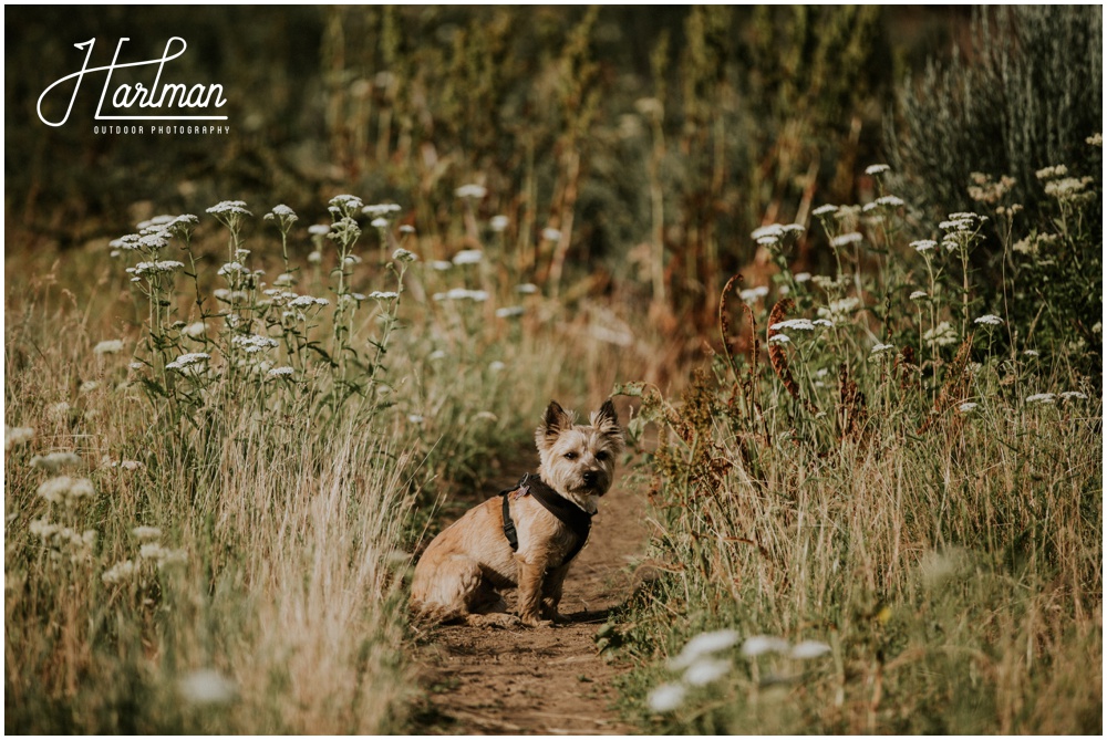 Methow Valley Washington Wedding Photographer_0007