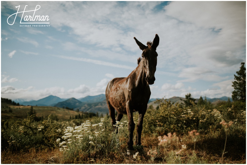 Sun Mountain Lodge Wedding _0010