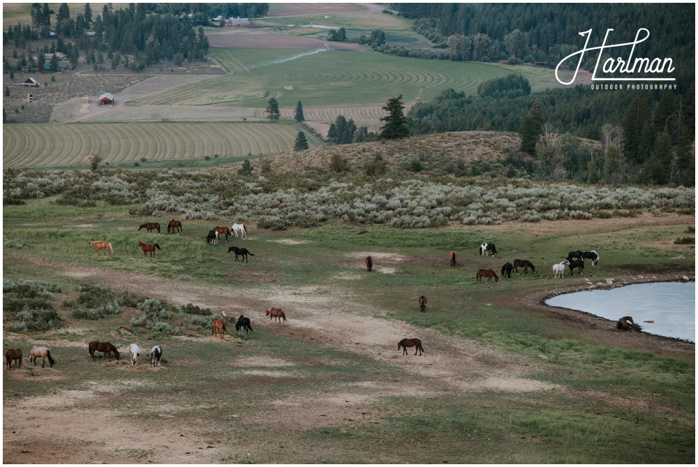 Barn Wedding Venue Methow Valley _0007