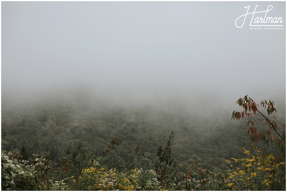 asheville north carolina elopement ceremony _0023