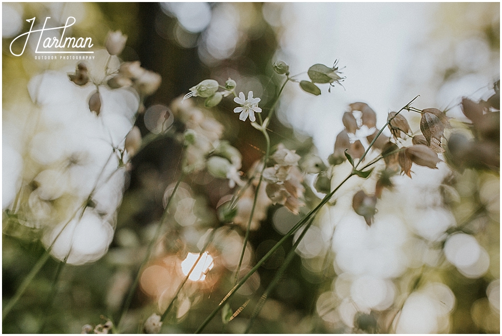 Door County Wisconsin Elopement _0019