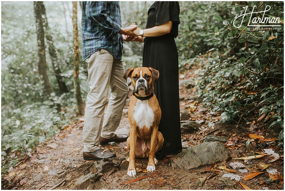 clingmans dome elopement _0026