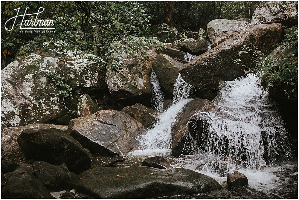 wedding photographer smoky mountains national park _0029