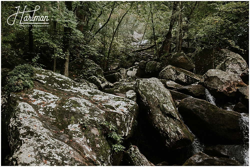 smoky mountains engagement session _0046