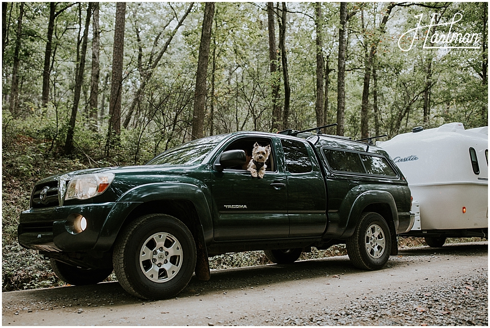 pisgah forest camping _0007