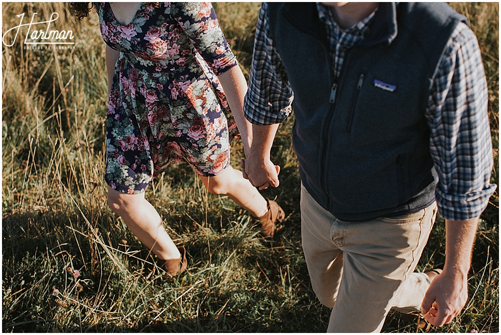 max patch mountain engagement