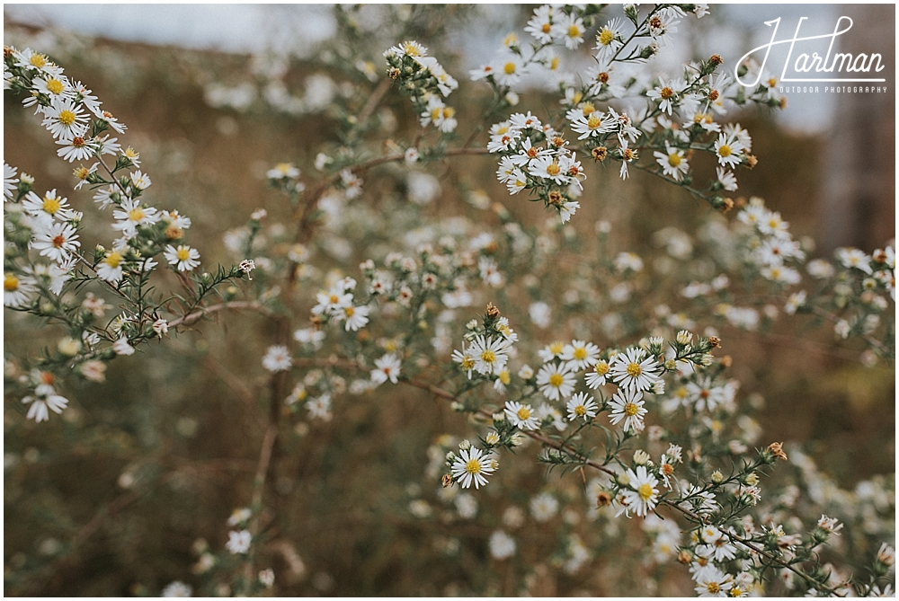 north carolina outdoor wedding _0001