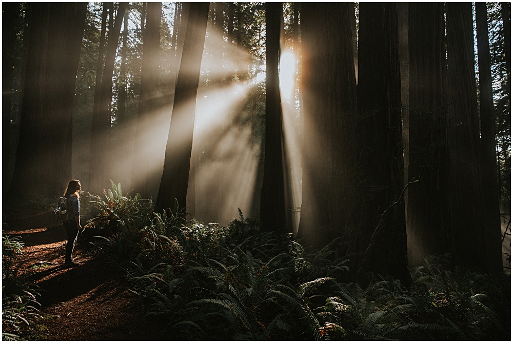 Redwoods National Park Engagement