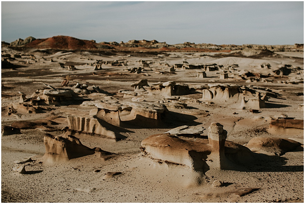 Bisti Badlands New Mexico Landscape