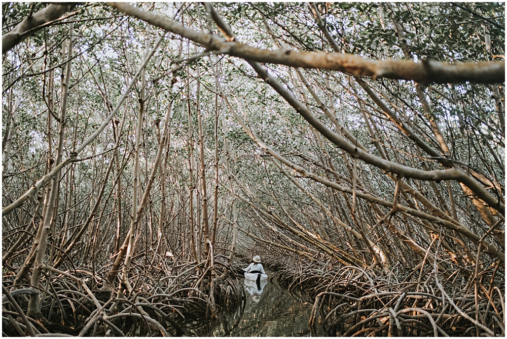 Boot Key Mangroves