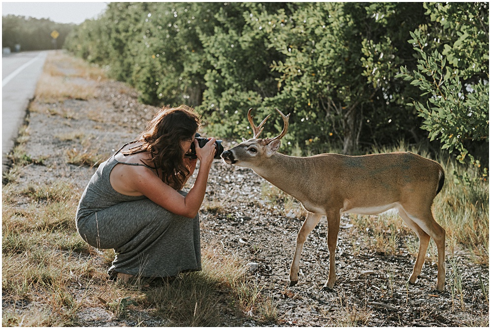 Key Deer Photography