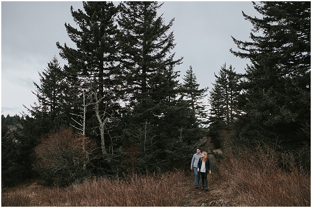 mount rogers elopement 