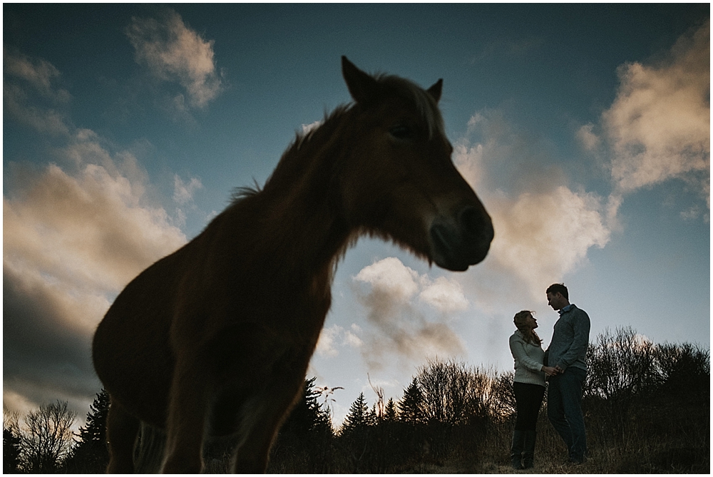 Equestrian wedding