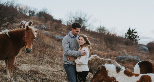 Kealy + Garrett | Virginia Mountain Adventure with Wild Ponies