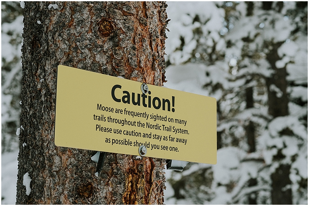 eldora cross country skiing