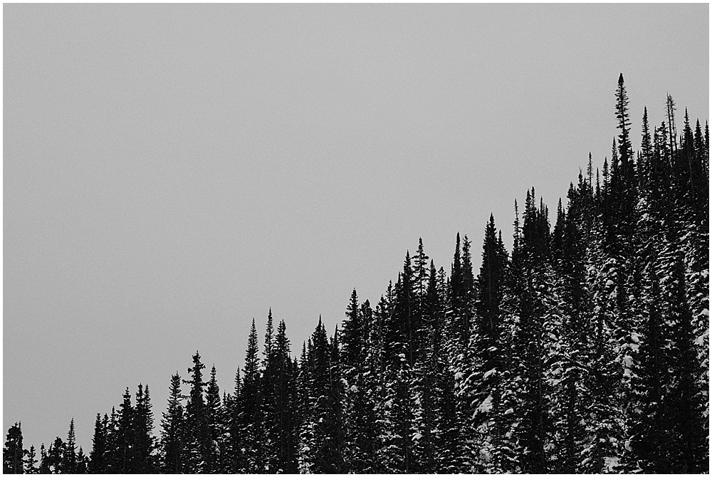 Colorado Rockies winter wedding