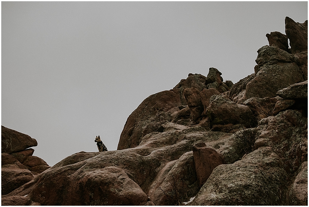 Boulder colorado elopement