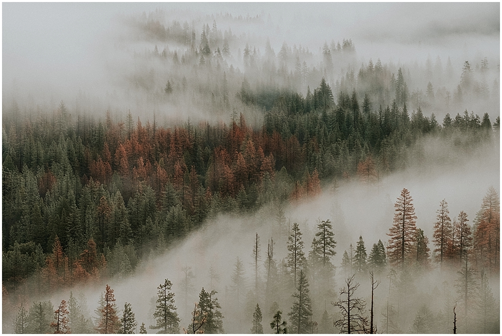 yosemite wedding photographer_0002