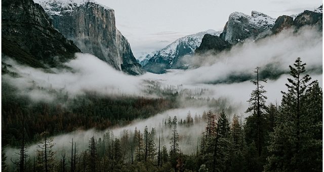 Scenic Locations Within Yosemite