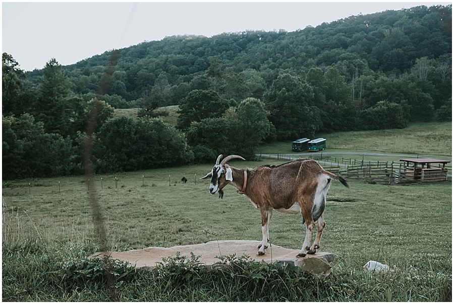 Claxton Farm Wedding_0105