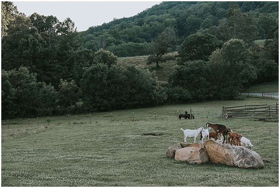 Claxton Farm Wedding_0107