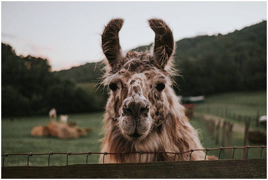 Claxton Farm Wedding_0109