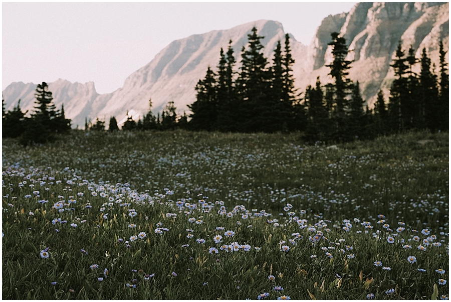 Glacier National Park elopement photographer