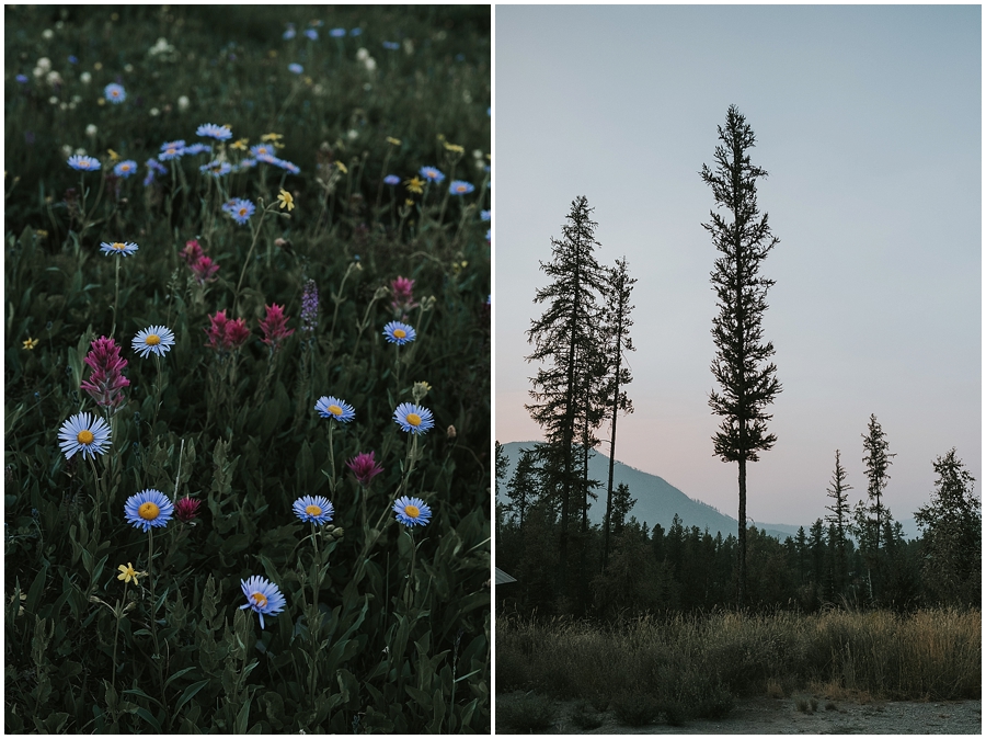 Glacier National Park wedding photographer